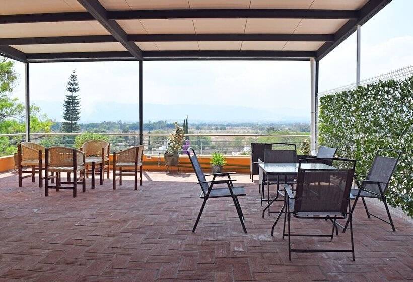 Fotos del hotel Guiva Aeropuerto:  13