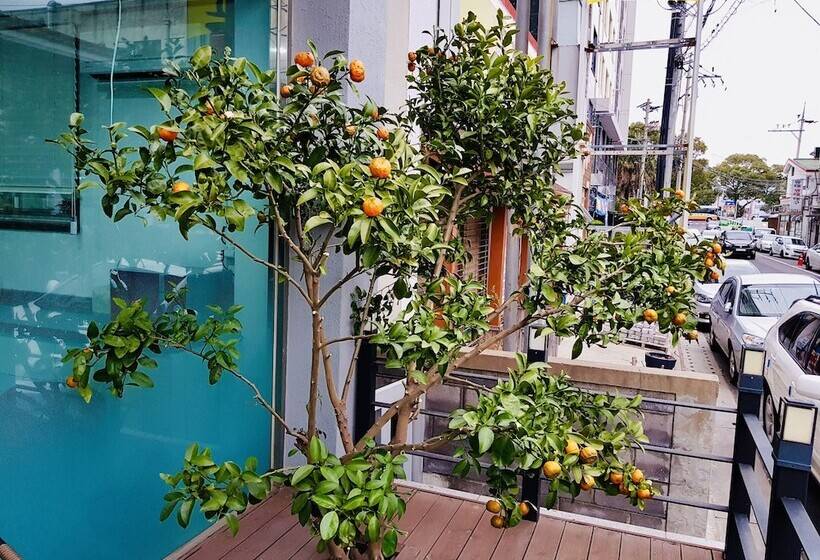 Fotos del hotel Gallery  Be Jeju:  17