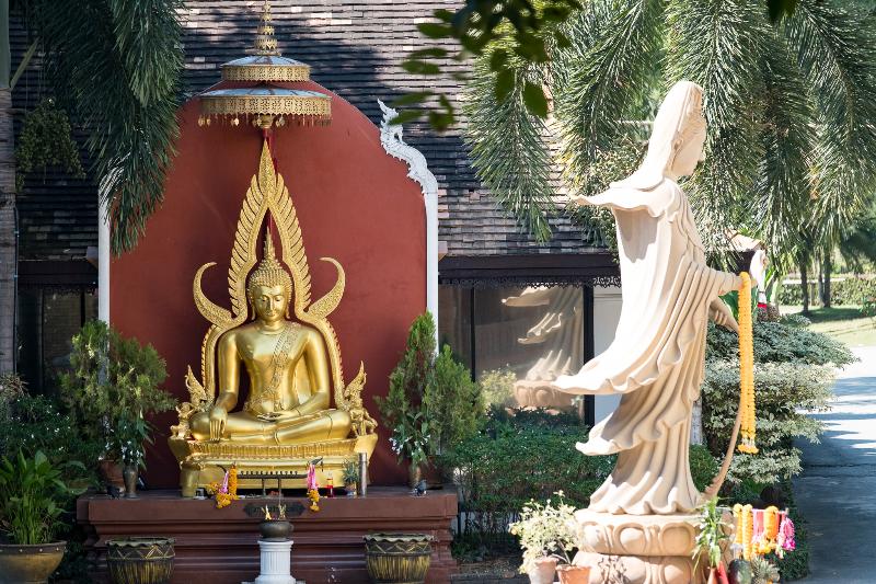 Fotos del hotel Nim:  9