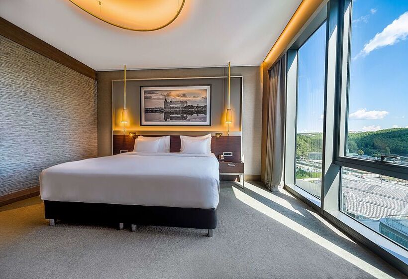 Fotos del hotel Radisson Blu Hotel, Vadistanbul:  24