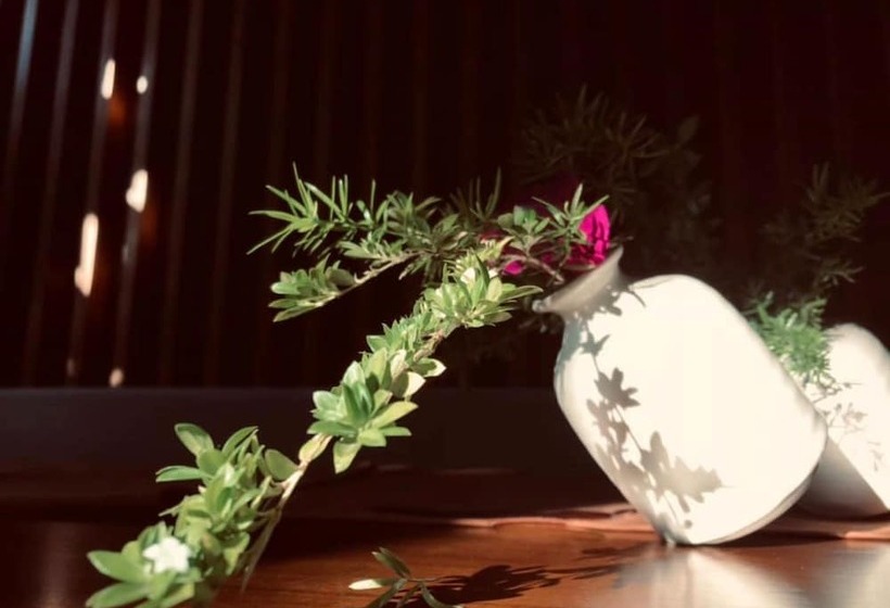 Fotos del hotel Moon Villa And Apartment Danang:  4