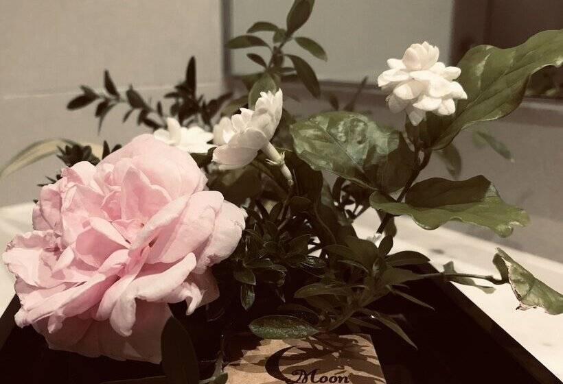 Fotos del hotel Moon Villa And Apartment Danang:  10