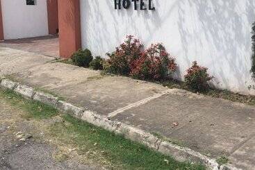 Spanish Dream - Kingston