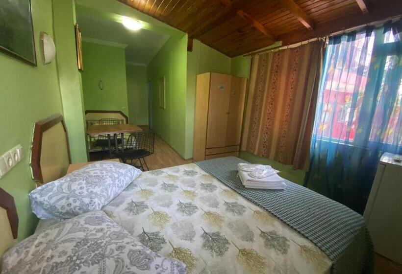 Fotos del hotel Camel Pension & Aparts:  25