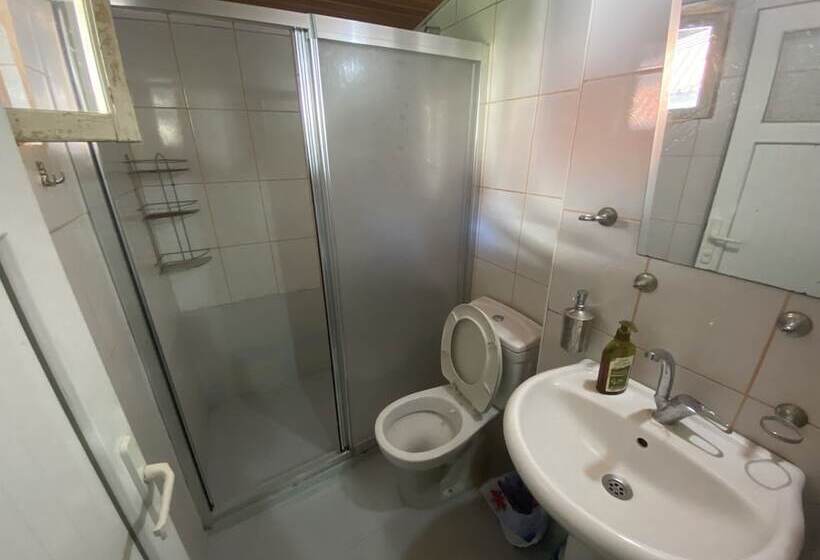 Fotos del hotel Camel Pension & Aparts:  3