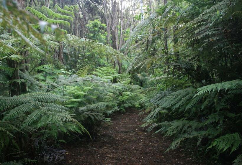 Fotos del hotel Warblers Retreat:  18