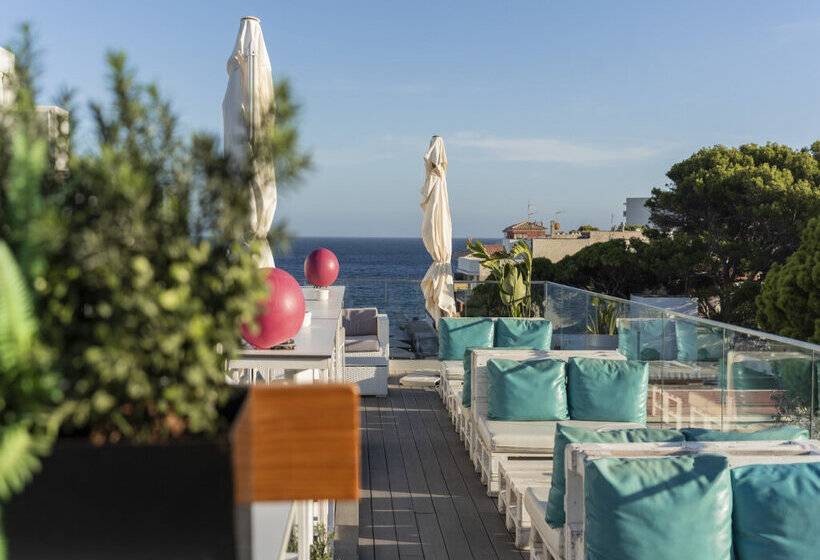 Fotos del hotel Cooee Cala Ratjada:  18