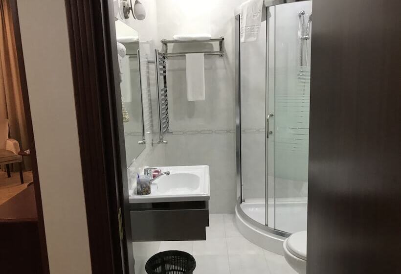 Fotos del hotel Capitol:  15