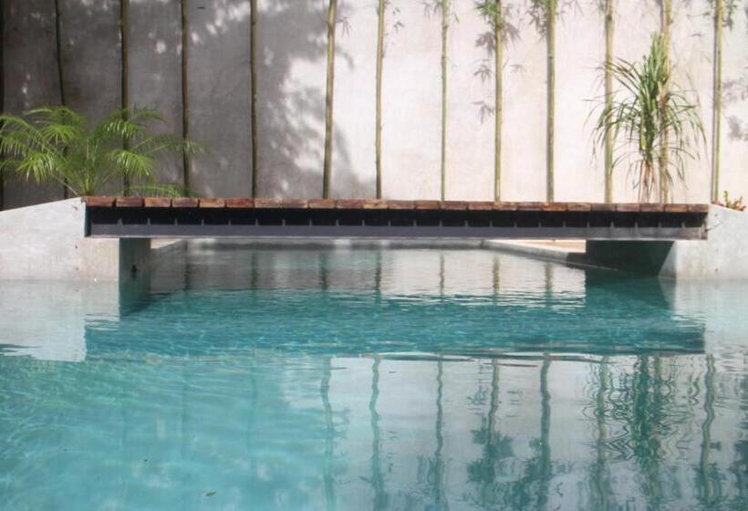 Fotos del hotel Little Gem  Tulum La Veleta:  5