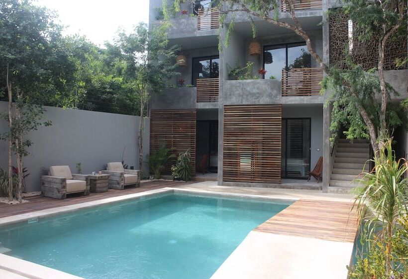 Little Gem  Tulum La Veleta