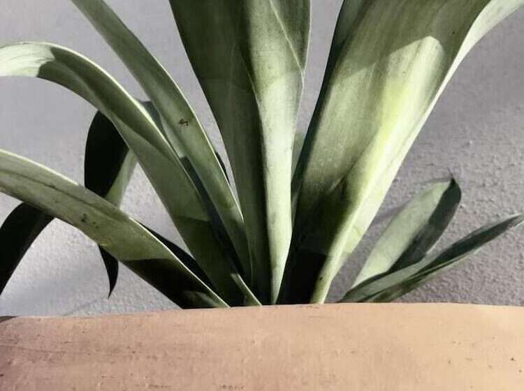 Fotos del hotel Six Two Four Urban Beach:  15