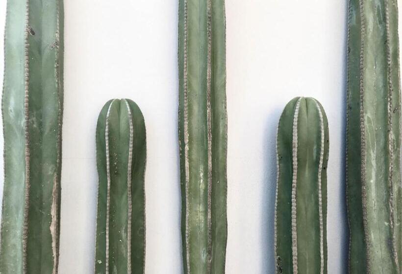 Fotos del hotel Six Two Four Urban Beach:  12