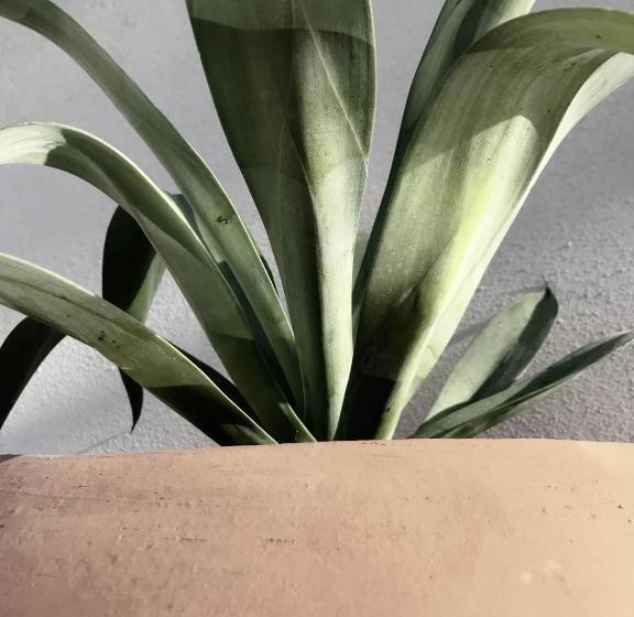 Fotos del hotel Six Two Four Urban Beach:  16