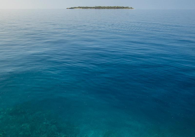 Fotos del hotel Faarufushi Maldives:  5