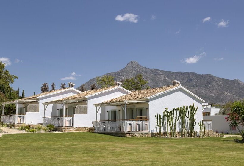 Fotos del hotel Boho Club:  9