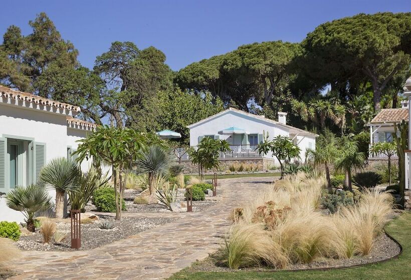 Fotos del hotel Boho Club:  14