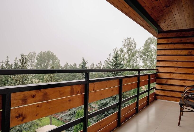 Fotos del hotel Bakuriani Inn:  1