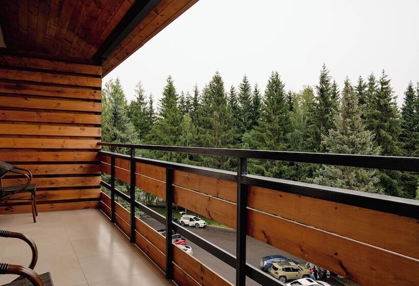 Fotos del hotel Bakuriani Inn:  2