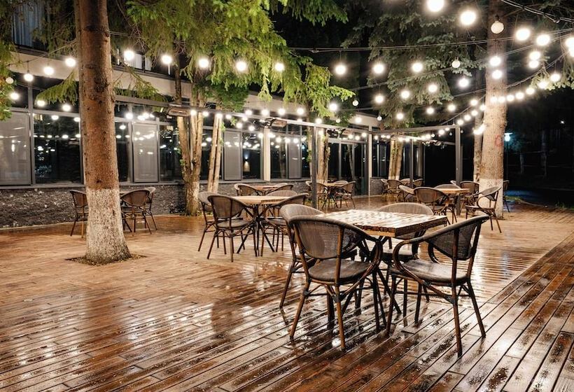 Fotos del hotel Bakuriani Inn:  10