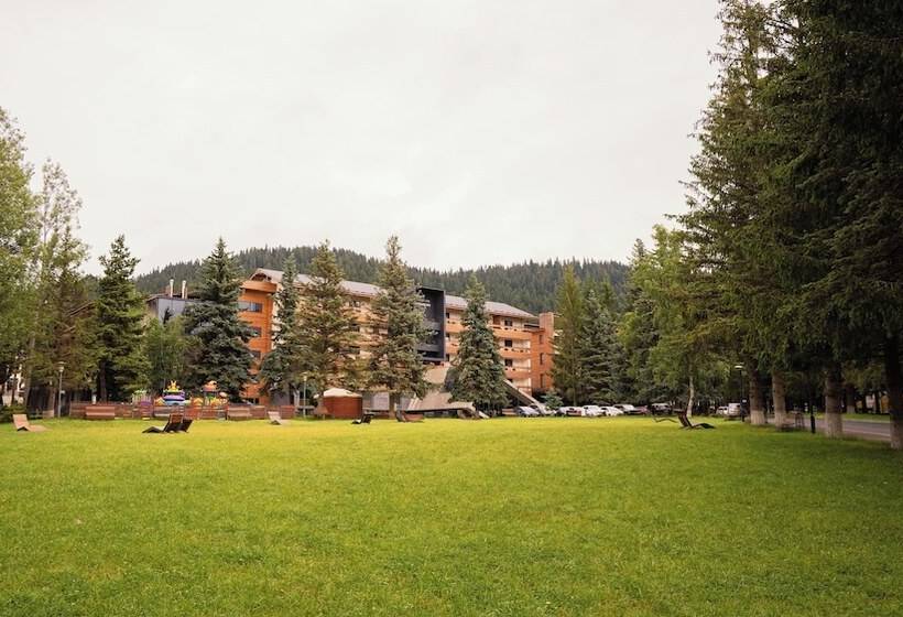 Fotos del hotel Bakuriani Inn:  11