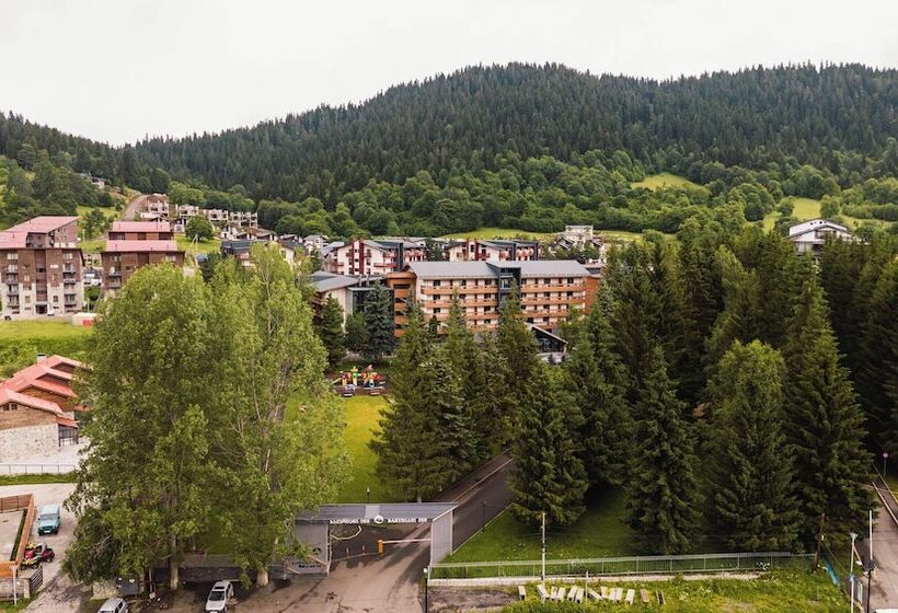 Fotos del hotel Bakuriani Inn:  12