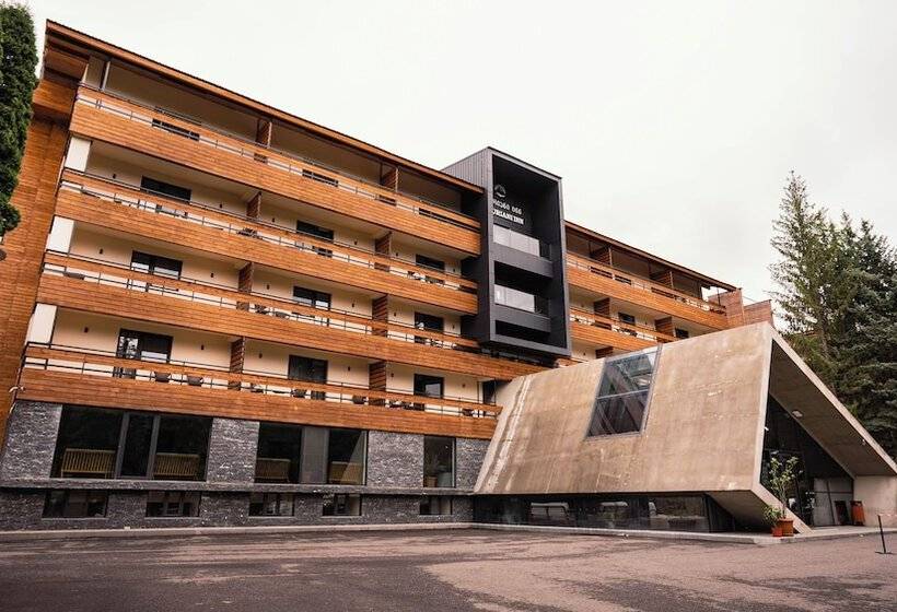 Fotos del hotel Bakuriani Inn:  14