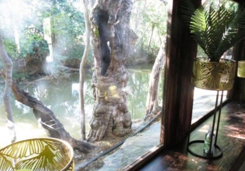 Fotos del hotel Bushmans Rock Country Lodge:  7