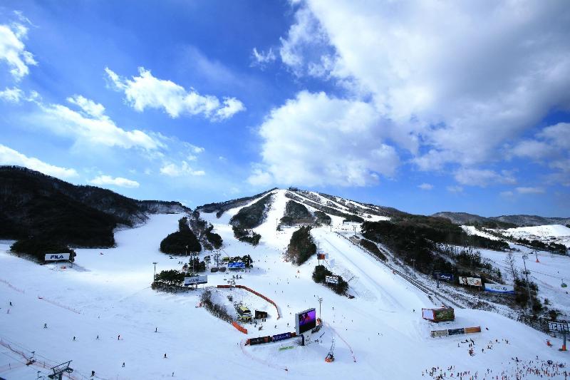 Fotos del hotel Welli Hilli Park:  8