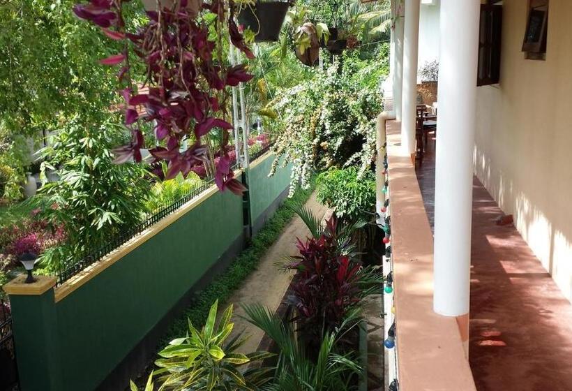 Fotos del hotel Hikka Regent:  11