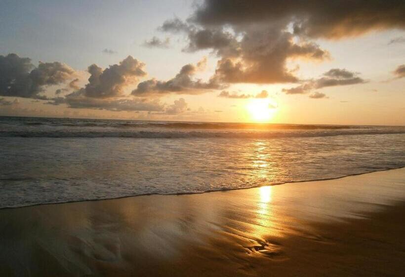 Fotos del hotel Hikka Regent:  12