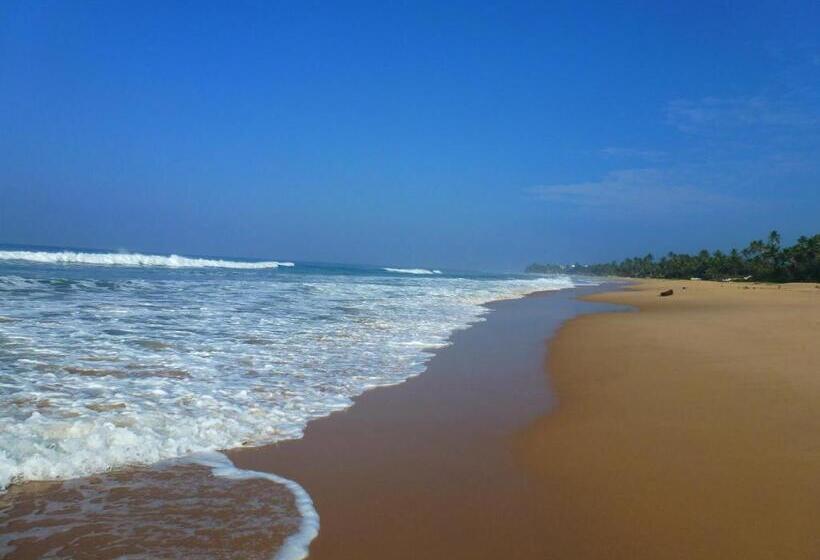 Fotos del hotel Hikka Regent:  15