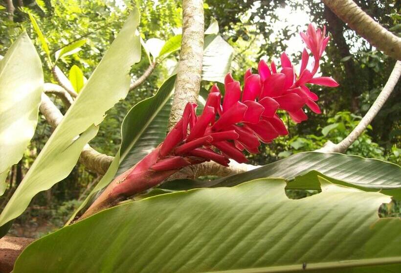 Fotos del hotel Hikka Regent:  16