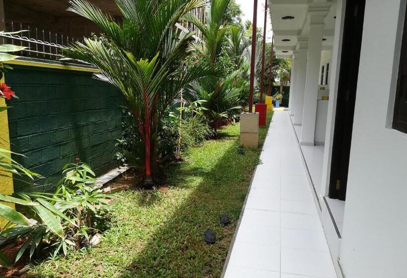 Fotos del hotel Hikka Regent:  18