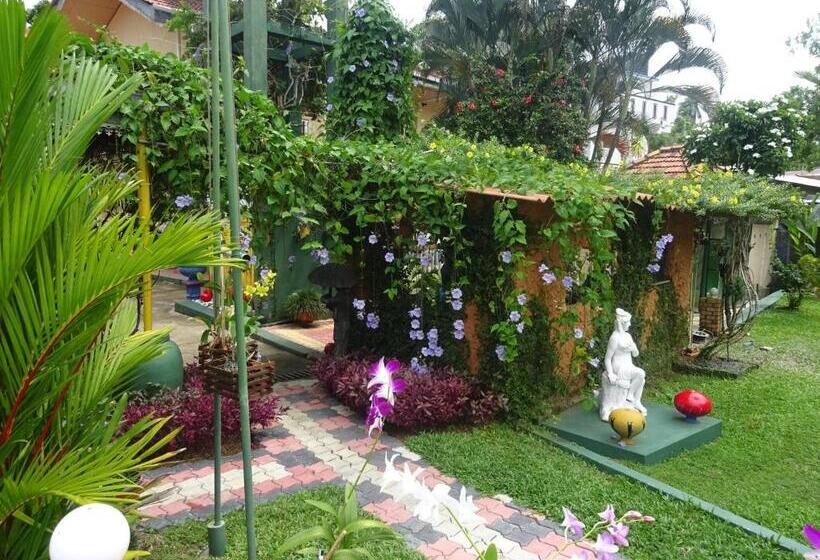 Fotos del hotel Hikka Regent:  19