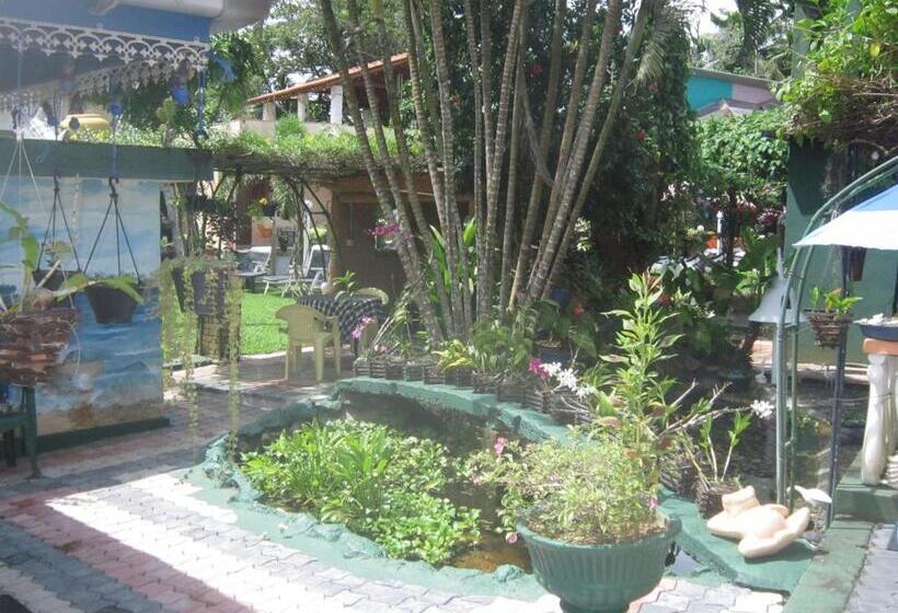 Fotos del hotel Hikka Regent:  24