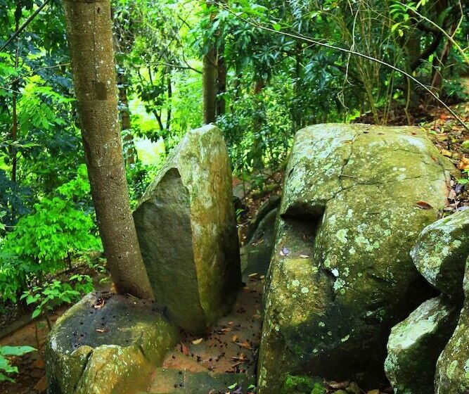 Fotos del hotel The Spring Villas:  12