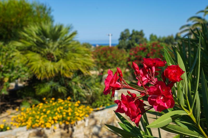 Fotos del hotel Arinella Residence Club:  5