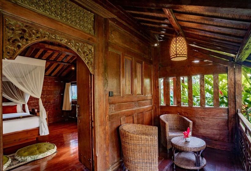 Fotos del hotel Amatara Arya Ubud:  18