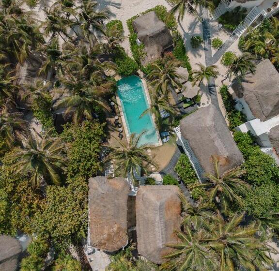 Fotos del hotel Coco Limited:  5