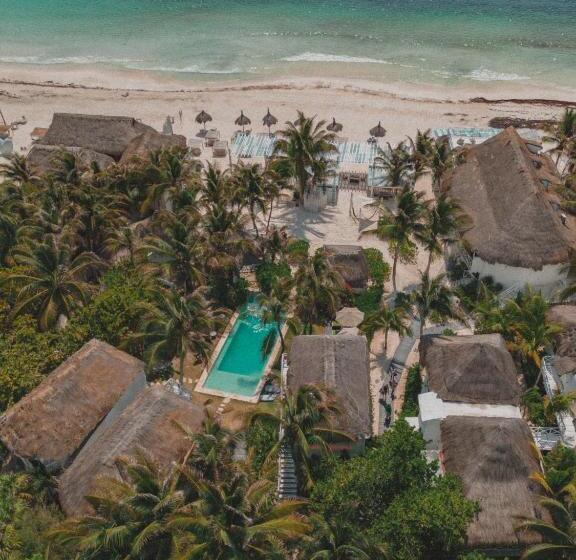 Fotos del hotel Coco Limited:  11