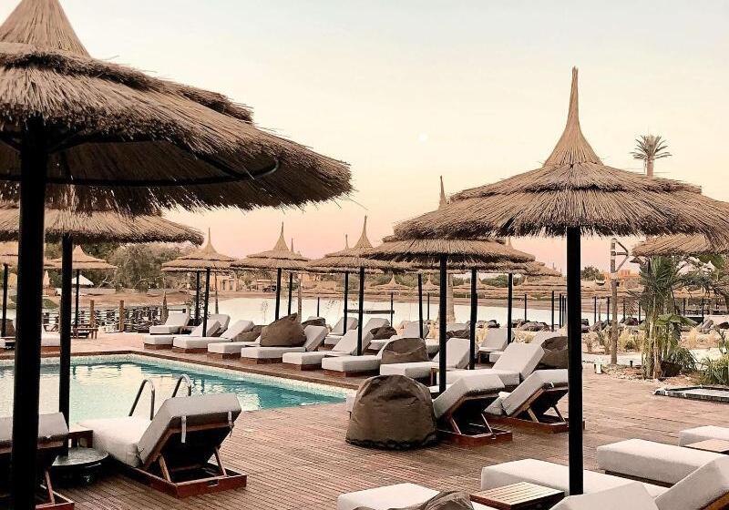 Fotos del hotel Arena Inn Apartments:  7