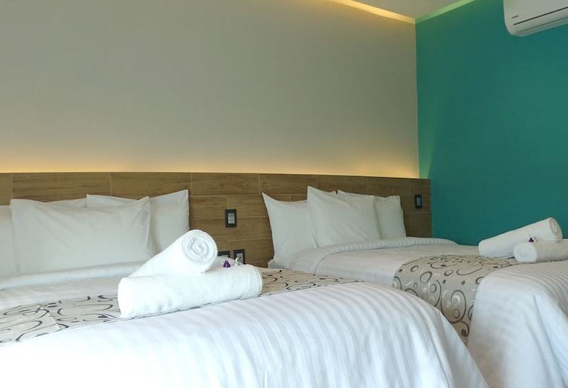 Fotos del hotel Kavia Plus:  3