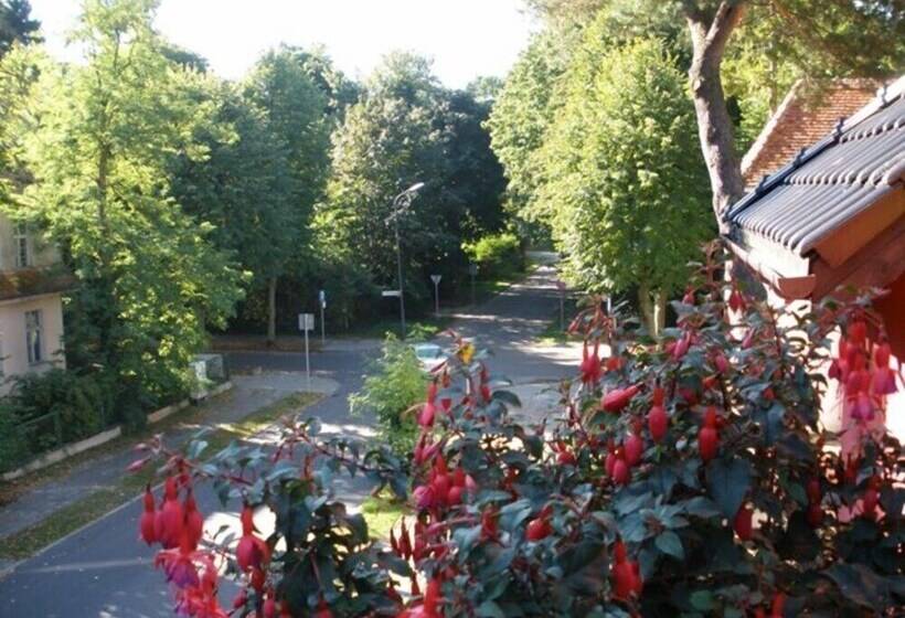 Fotos del hotel Willa 4 Pory Roku & Uznam:  4