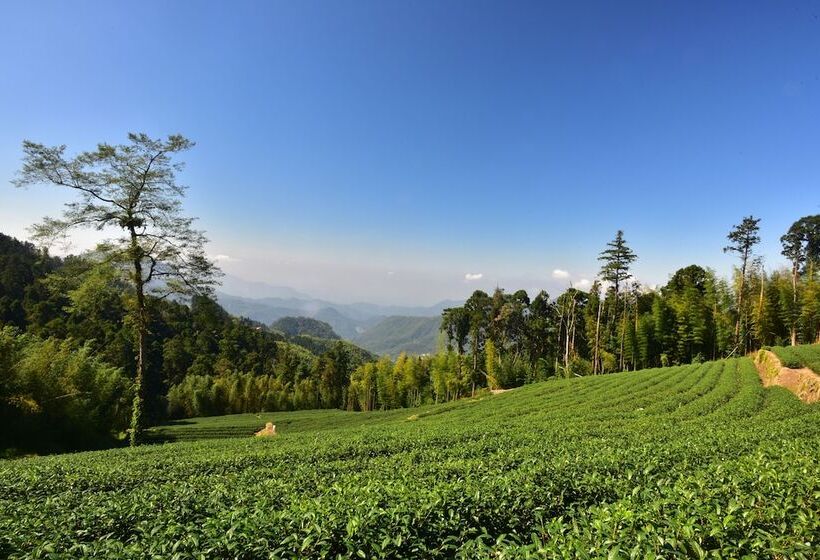 Fotos del hotel Long-yun Leisure Farm:  9