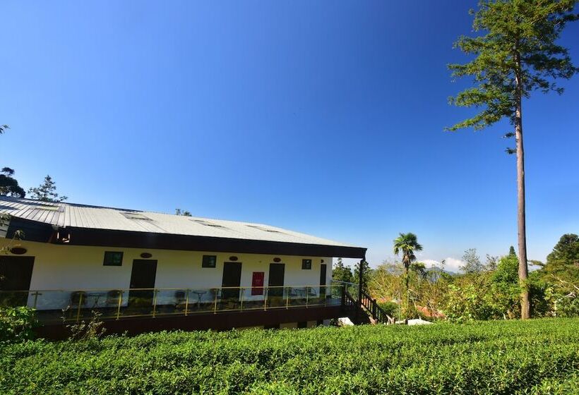 Fotos del hotel Long-yun Leisure Farm:  10