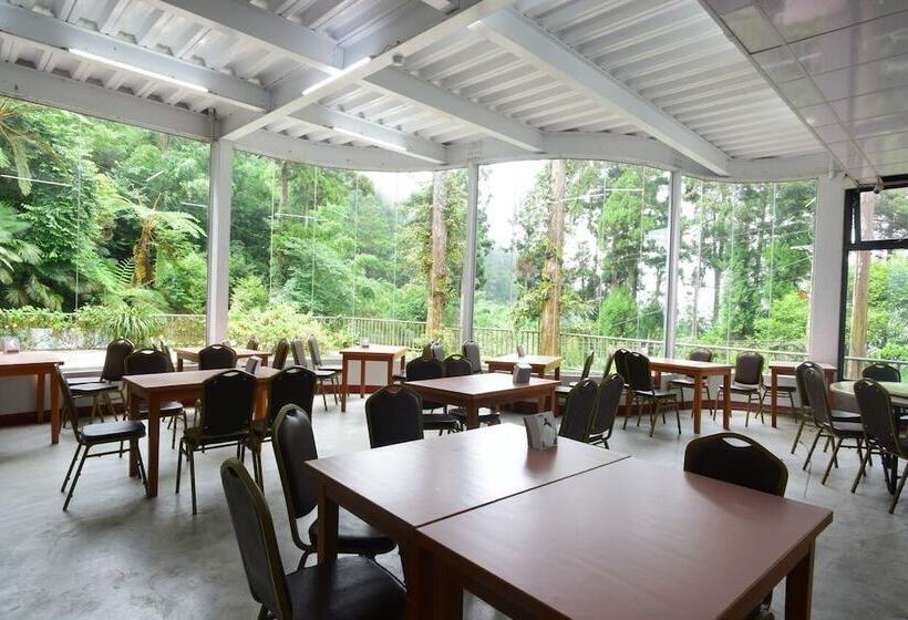 Fotos del hotel Long-yun Leisure Farm:  12