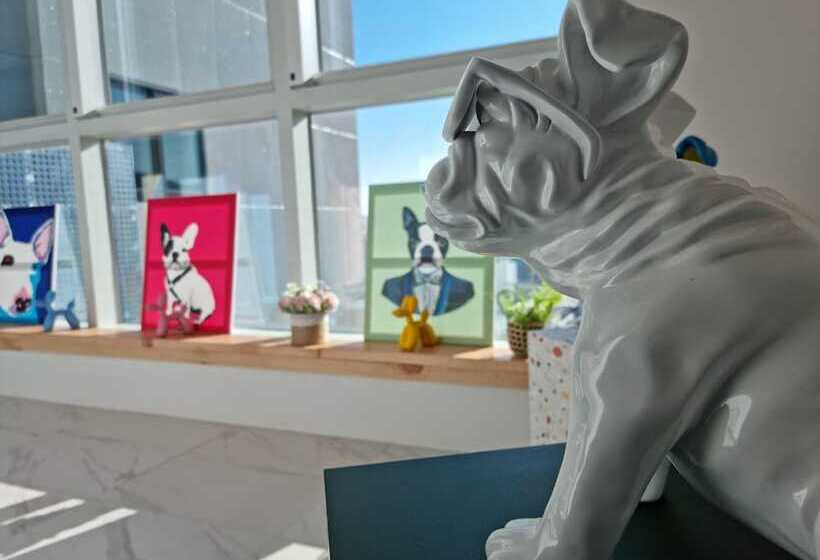 Fotos del hotel Hound  Busan Station:  23