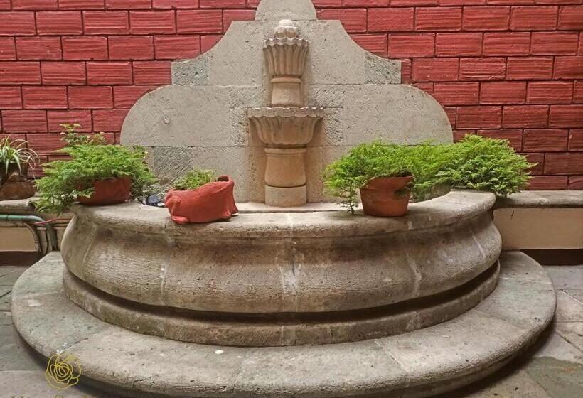 Fotos del hotel Santa Rosa:  16