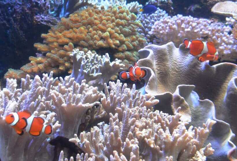 Fotos del hotel Toyoko Inn Niigata Ekimae:  9