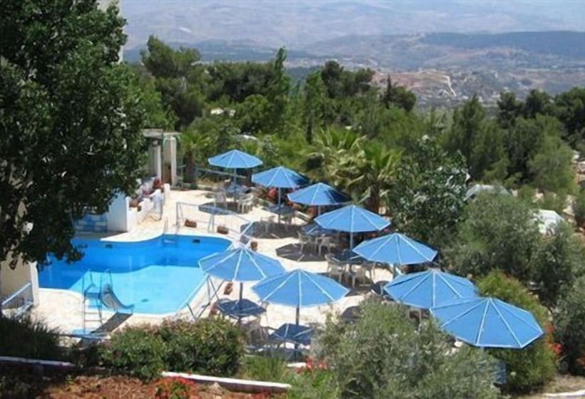 Fotos del hotel The Olive Branch:  8